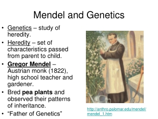 Mendel and Genetics