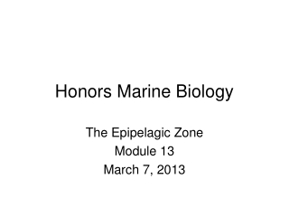 Honors Marine Biology