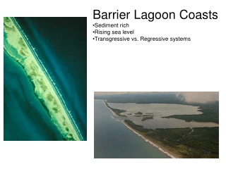 Barrier Lagoon Coasts Sediment rich Rising sea level Transgressive vs. Regressive systems