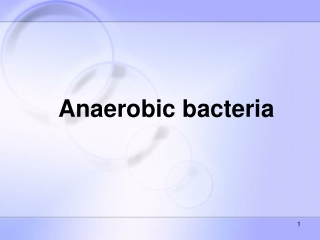 Anaerobic bacteria