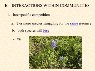 E. INTERACTIONS WITHIN COMMUNITIES