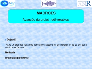 MACROES Avancée du projet : déliverables