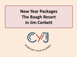 New Year Packages in Jim Corbett | New Year Party in Jim Corbett