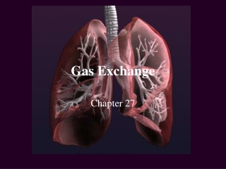 Gas Exchange