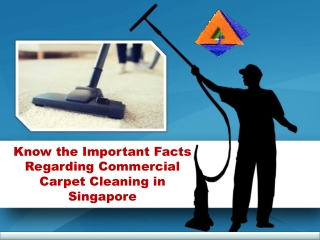 Know the Important Facts Regarding Commercial Carpet Cleaning in Singapore