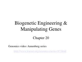 Biogenetic Engineering &amp; Manipulating Genes