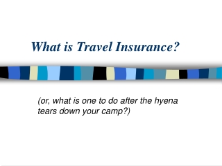 What is Travel Insurance?