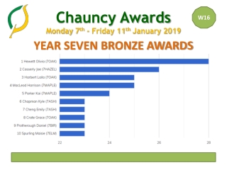 YEAR SEVEN BRONZE AWARDS