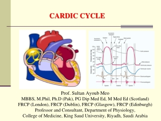 Prof. Sultan Ayoub Meo MBBS, M.Phil, Ph.D (Pak), PG Dip Med Ed, M Med Ed (Scotland)