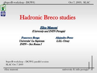 Hadronic Breco studies