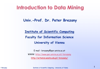 Introduction to Data Mining