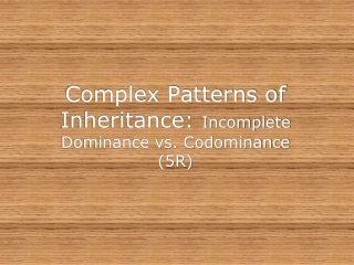 Complex Patterns of Inheritance: Incomplete Dominance vs. Codominance (5R)