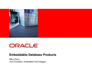 Embeddable Database Products