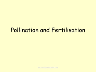 Pollination and Fertilisation