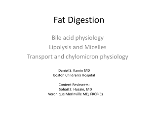 Fat Digestion