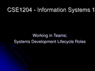 CSE1204 - Information Systems 1