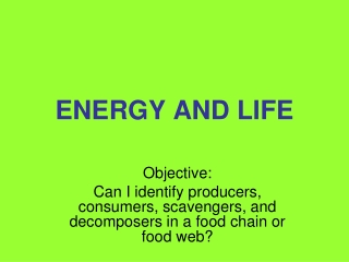 ENERGY AND LIFE