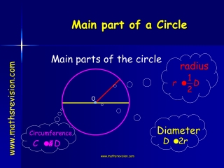 Main parts of the circle