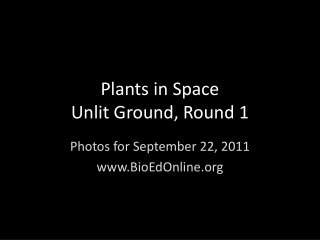 Plants in Space Unlit Ground, Round 1