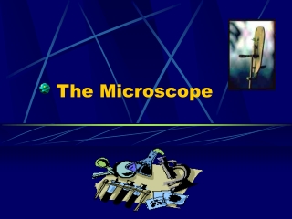 The Microscope