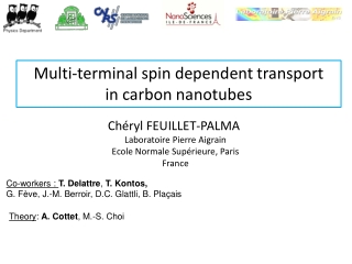 Multi-terminal spin dependent transport in carbon nanotubes