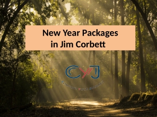 New Year Packages in Jim Corbett for exciting New Year Celebrations