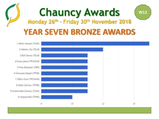 YEAR SEVEN BRONZE AWARDS