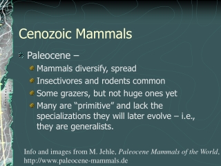 Cenozoic Mammals