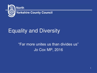 Equality and Diversity