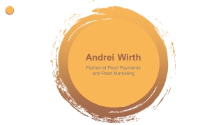 Andrei Wirth - Knowledgeable Professional