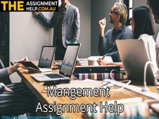 Management Assignment Help