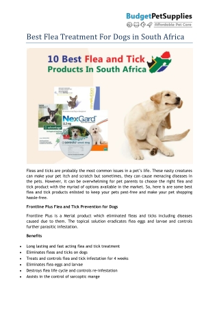 Best Flea Treatment For Dogs in South Africa