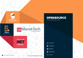 Magento Website Development Company | ManekTech