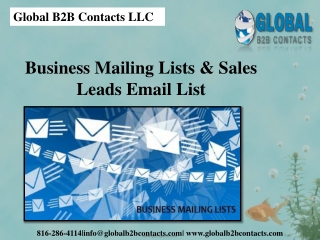 Business Mailing Lists & Sales Leads Email List