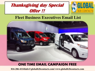 Fleet Business Executives Email Data