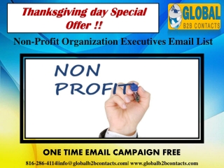 Non-Profit Organization Executives Email data