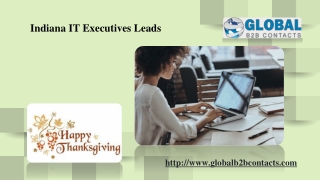 Indiana IT Executives Leads