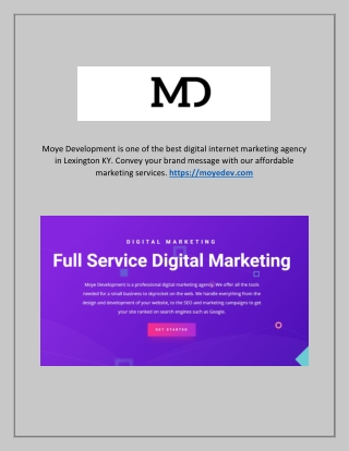 Digital Marketing in Lexington KY - Moyedev.Com