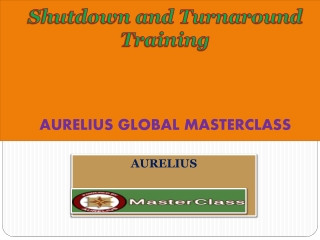 Shutdown and Turnaround Training