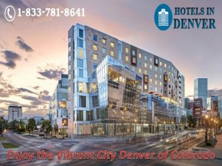 Enjoy the Vibrant City Denver of Colorado