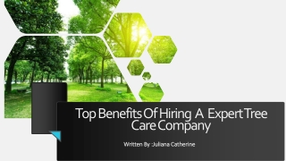 Top Benefits of Hiring An Expert Tree Service Company