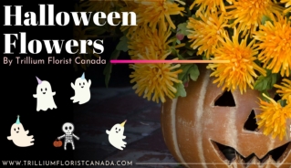 Celebrate 2019 Halloween with Trillium Florist Canada