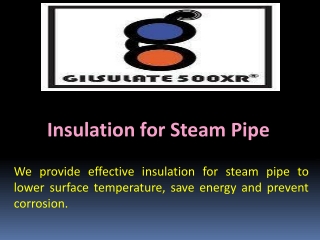 Insulation for Steam Pipe