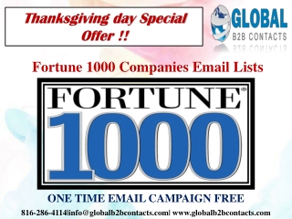 Fortune 1000 Companies Email Data