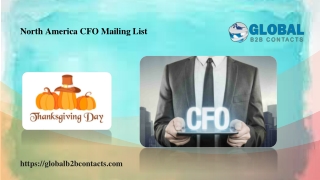 North America CFO Mailing List