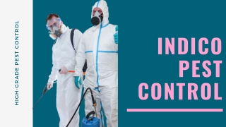 Pest Control Services in Uttam Nagar