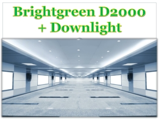 Brightgreen D2000 Downlight