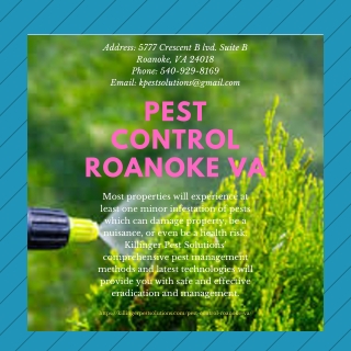 Pest Control Roanoke VA