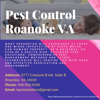 Pest Control Roanoke VA