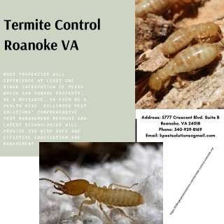 Termite Control Roanoke VA